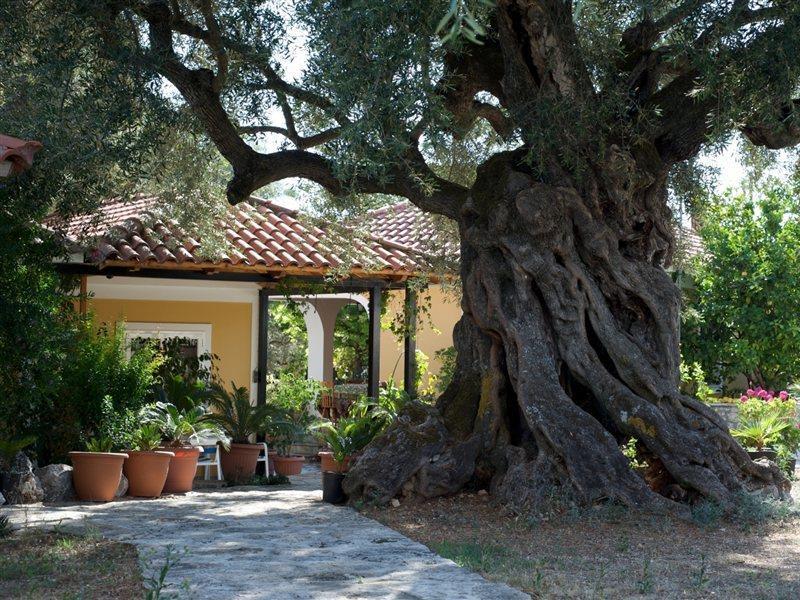 Villa Christina Zakintos Dış mekan fotoğraf